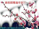 法轮功,哈尔滨大法弟子恭祝师尊新年好(20条)