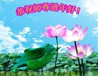 ֹ,󷨵ӹףʦ(20)