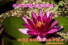 ֹ,󷨵ӹףʦ(22)