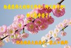ֹ,󷨵ӹףʦ(25)