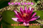 ֹ,󷨵ӹףʦ(22)