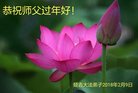 ֹ,ʡ󷨵ӹףʦ(20)