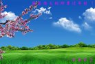 ֹ,󷨵ӹףʦ(22)