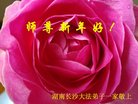 法轮功,长沙大法弟子恭祝师尊过年好(21条)