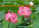 ֹ,ϴ󷨵ӹףʦ(23)
