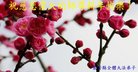 ֹ,󷨵ӹףʦ(22)