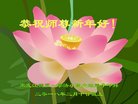 ֹ,󷨵ӹףʦ(21)