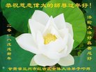 ֹ,󷨵ӹףʦ(21)