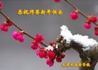 ֹ,󷨵ӹףʦ(22)