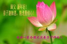 ֹ,󷨵ӹףʦ(19)