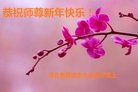 法轮功,河北大法弟子恭祝师尊新年好(29条)