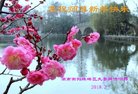 ֹ,ϴ󷨵ӹףʦ(23)