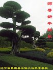 ֹ,󷨵ӹףʦ(24)
