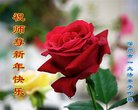 ֹ,ӱ󷨵ӹףʦ(22)
