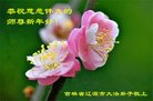 法轮功,吉林省大法弟子恭祝师尊新年好(20条)