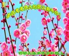 ֹ,ӱ󷨵ӹףʦ(22)