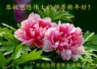 ֹ,ӱ󷨵ӹףʦ(22)