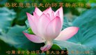 ֹ,󷨵ӹףʦ(20)