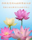 ֹ,󷨵ӹףʦ(20)