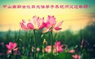 ֹ,㶫󷨵ӹףʦ(23)