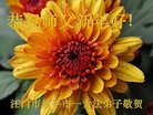 ֹ,㶫󷨵ӹףʦ(23)