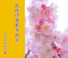 ֹ,󷨵ӹףʦ(22)