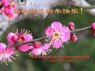 ֹ,ӱ󷨵ӹףʦ(29)