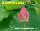 ֹ,󷨵ӹףʦ(28) 