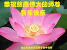 ֹ,ൺ󷨵ӹףʦ(27)