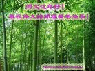 ֹ,󷨵ӹףʦ(26)
