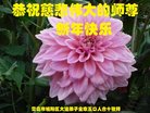 ֹ,ൺ󷨵ӹףʦ(27)