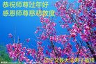 ֹ,ݴ󷨵ӹףʦ(25)