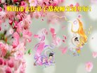ֹ,󷨵ӹףʦ(19)
