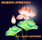 法轮功,北京大法弟子恭祝师尊过年好(21条)