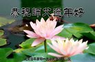 ֹ,󷨵ӹףʦ(21)