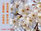 ֹ,󷨵ӹףʦ(21)