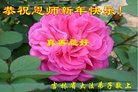 ֹ,ʡ󷨵ӹףʦ(24)