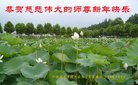 ֹ,󷨵ӹףʦ(33)
