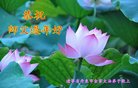 ֹ,󷨵ӹףʦ(29)