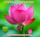 ֹ,Ĵ󷨵ӹףʦ(20)