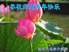 ֹ,󷨵ӹףʦ(22)