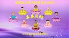 法轮功,山东大法弟子恭祝师尊过年好(27条)