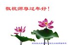 法轮功,石家庄大法弟子恭祝师尊过年好(26条)