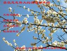 ֹ,ȷ󷨵ӹףʦ(22)