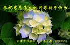 ֹ,󷨵ӹףʦ(27)