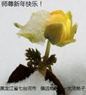 ֹ,󷨵ӹףʦ(28)