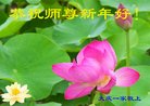 ֹ,󷨵ӹףʦ(23)
