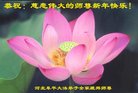 法轮功,河北大法弟子恭祝师尊过年好(24条)