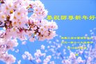 ֹ,󷨵ӹףʦ(24)