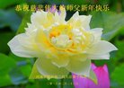 ֹ,ϴ󷨵ӹףʦ(25)